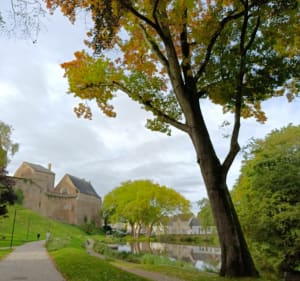 Etangs, forêt et voie verte autour Châteaubriant - Châteaubriant - 2