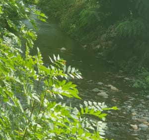 Tour de Brignoud - Froges - 2