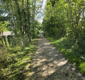 Grand tour au nord de Brie-Comte-Robert - Servon - 2