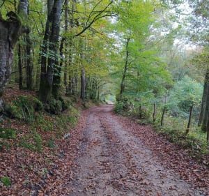 Boucle à Saint Jacques d'Ambur - Saint-Jacques-d'Ambur - 2