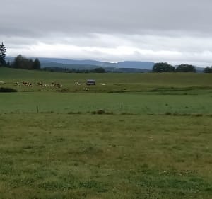 Entre Montfaucon-en-Velay et Montregard - Steph - 3