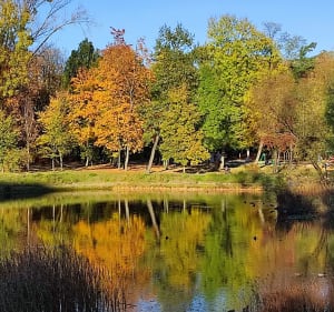Bytom, Park Kahla, płasko alejkami - Bytom - 2