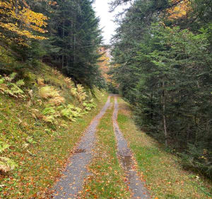 Randonnée du Pla d’Adet par Espiaube - Saint-Lary-Soulan - 3