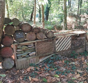 Balade autour de la grée des landes - MELANIE - 5
