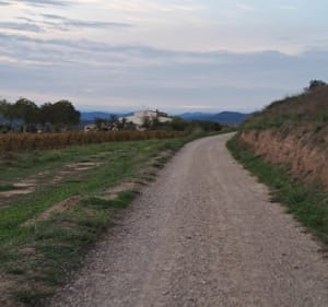 La boucle Thézanaise - Thézan-lès-Béziers - 2