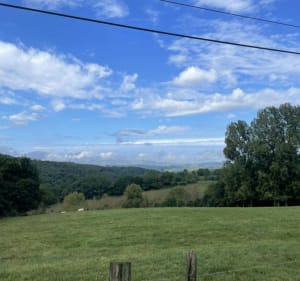 Le ruisseau de la Gerbole depuis les Côtes d'Arey - Les Côtes-d'Arey - 2