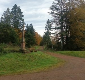 Petite balade en famille dans la forêt de Charémont - Nicolas - 3