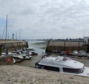 Visite de La Flotte depuis les Peupliers - La Flotte - 2
