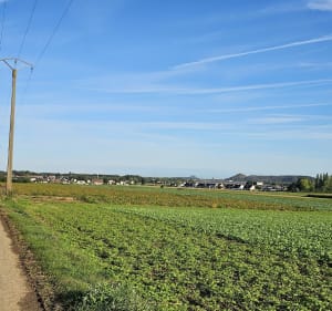 Randonnée autour de Bois-Bernard - Hénin-Beaumont - 2
