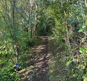 Sur les traces de d’Artagnan - David - 3