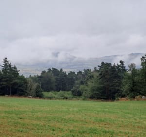 Chemins ombragés autour du village de Fontanes - Naussac-Fontanes - 2