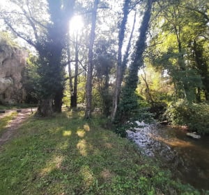 Lavelanet entre voie verte et forêt, par Courtal - Lavelanet - 2