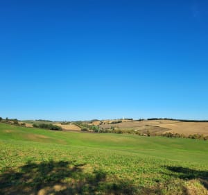 Le chemin des pélerins à Boulaur - Boulaur - 2
