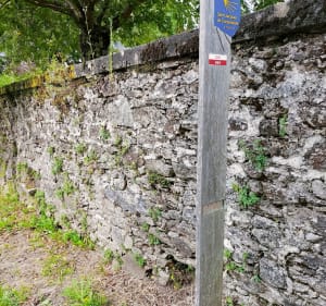 Saint-Léonard-de-Noblat, l'incontournable - Saint-Léonard-de-Noblat - 2