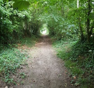 Boucle entre Cully et Secqueville-en-Bessin - Aurore - 3