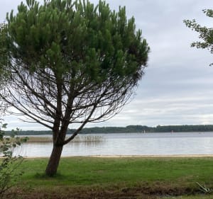 Des Eaux qui Rient au port de l’Estey en aller-retour - Sanguinet - 2