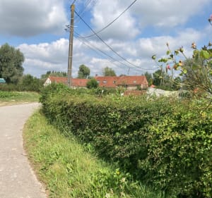 Boucle de la Jumelle à travers champs - Aire-sur-la-Lys - 2