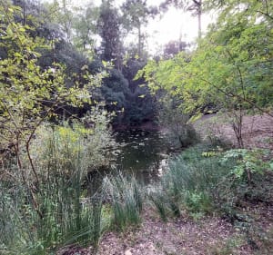 Le Pey de la Blet et Pays de Monts - La Barre-de-Monts - 2