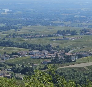 Chenas sentier Gargantua - Yann - 4