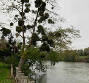 Rando depuis JLM vers le Lavoir Dame Gilles - Isabelle - 3