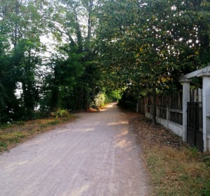 Petite balade matinale le long du Canal de Jonage - Villeurbanne - 2