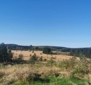 Sentier emblématique du Plateau des Millevaches - Saint-Merd-les-Oussines - 5
