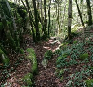 Balade sur la voie de Sarde - Saint-Christophe - 2