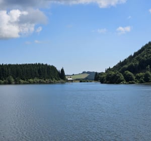 Du Pavin à Montcyneire en boucle - Besse-et-Saint-Anastaise - 2