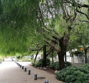 Les parcs de Cagne-sur-Mer - Cagnes-sur-Mer - 2