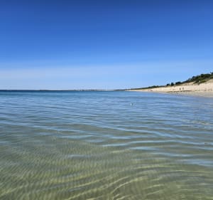 Ile de Ré, plages des Anneries et campagne - Le Bois-Plage-en-Ré - 3
