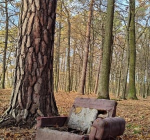 Na grzyby - Julków - 2