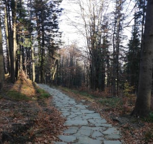 Babia góra, Mała Babia - Aneta - 2