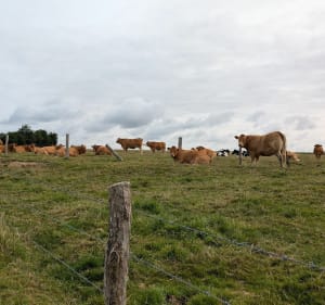 Randonnée dans les environs de Belbeuf - Raynald - 5