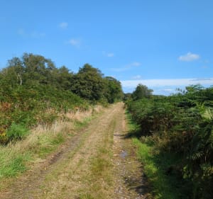 À la découverte de l'allée couverte autour du Bosquet - Les Moitiers-d'Allonne - 5