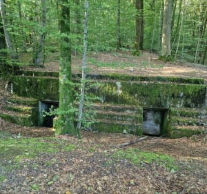 Le sentier des soldats depuis Romagne, par Côte Dame Marie - Romagne-Sous-Montfaucon - 2