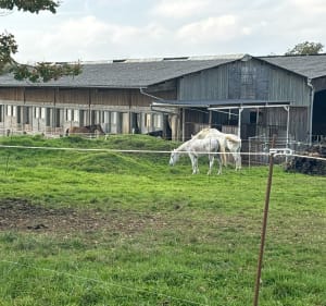 Tour à travers champs, par Reinange et remontée vers Stuckange - Volstroff - 2