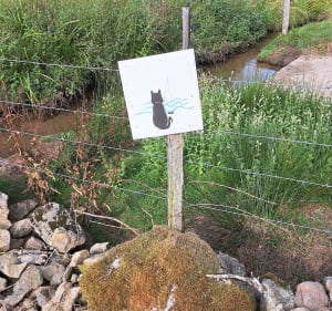 Sentier les Tupes - Saint-Denis-des-Murs - 2