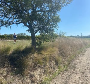 Balade autour d’Aigremont dans le Piémont Cévenol - Aigremont - 2