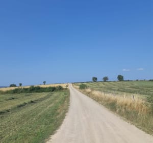 Randonnée de la Cham - Le Bleymard - Mont Lozère et Goulet - 2