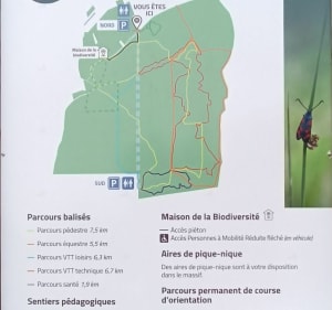Sentier pédestre en forêt Buzet, par Laque du Gorp - Buzet-sur-Tarn - 2