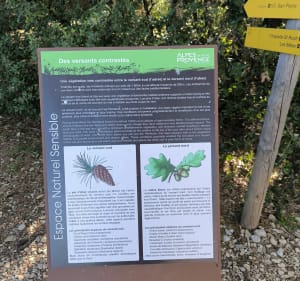 Tour des crêtes des pénitents des Mers - Les Mées - 2