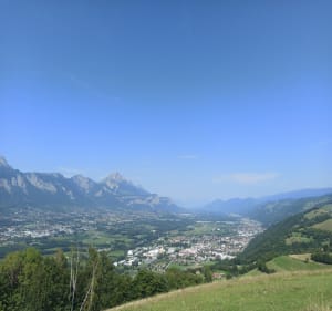 Chêne de Venon - Venon - 2