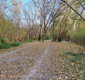 Od mostu do mostu (Gdański-Północny) - Warszawa - 2