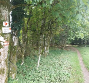 Le Hohwald, Rocher de Neuntelstein, Le Hohwald - Le Hohwald - 5
