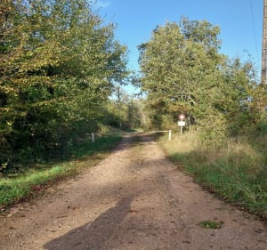 Tour en Grésigne - Castelnau-de-Montmiral - 2