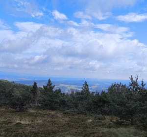 Randonnée en Lozère au Mont Mouchet - Saint-Privat-du-Fau - 2
