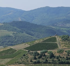 Le Pérréon - Yann - 5