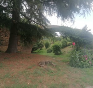 Balade aux berges de l'Ariège par le bois de Notre Dame - Auterive - 2
