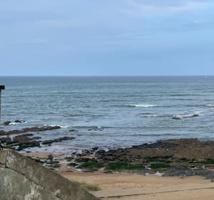 Balade  forestière et plage à Olonne - Les Sables-d'Olonne - 2