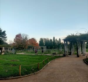 Balade au parc de la Tête d'Or - Tom - 3